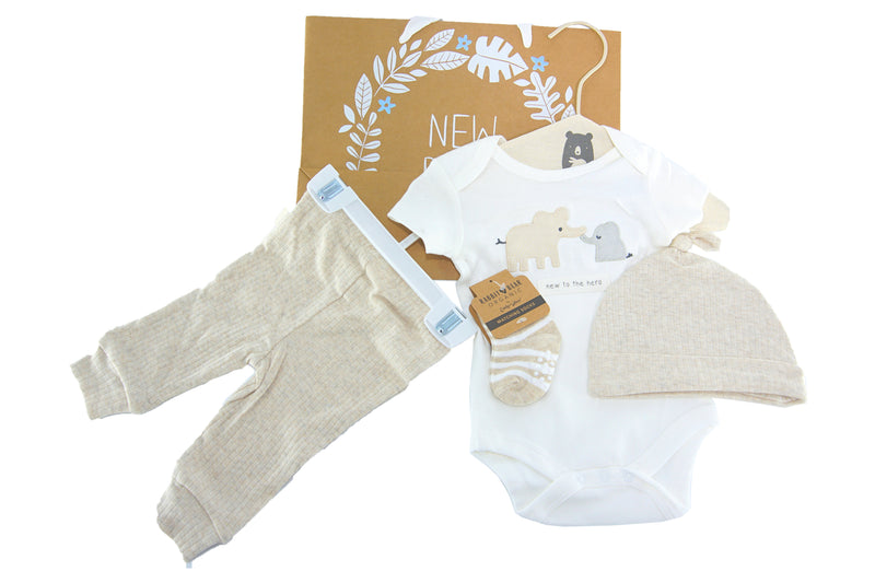 Rabbit and Bear Organic Bodysuit 5 piece sets with gift bag