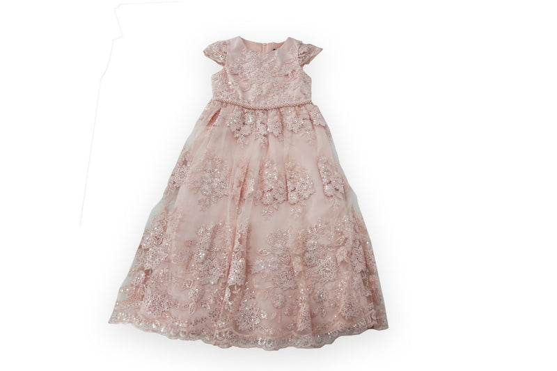 Chantilly Place Blush Sequin Floral Embroided A Line Girls Gown