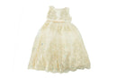 Pink Butterfly Girls Sleeveless Lace Dress Champagne