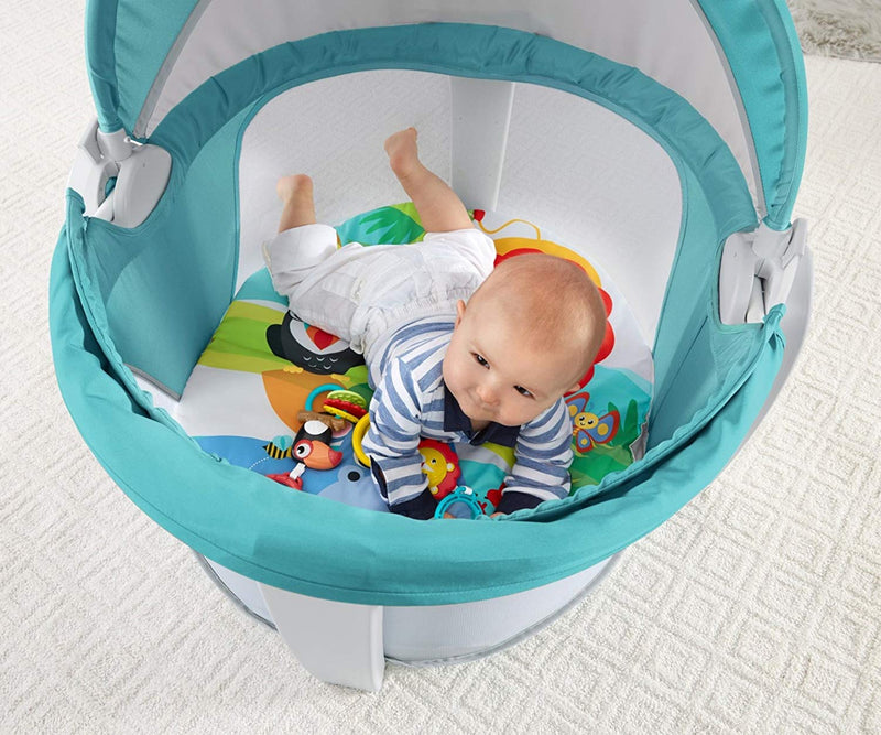 Fisher-Price On-the-Go Baby Dome, Blue/White