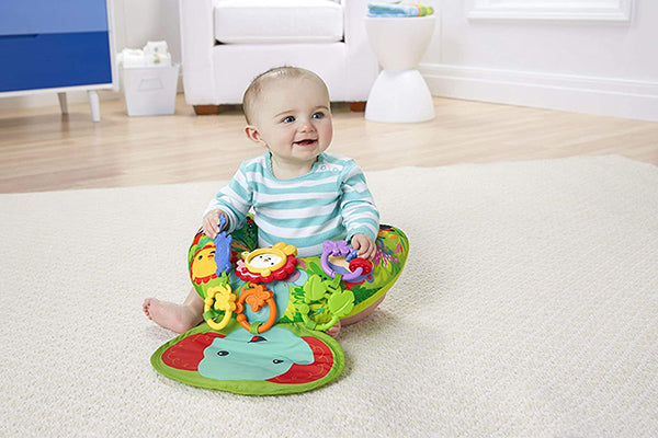 Fisher-Price Playtime Tummy Wedge, 0+