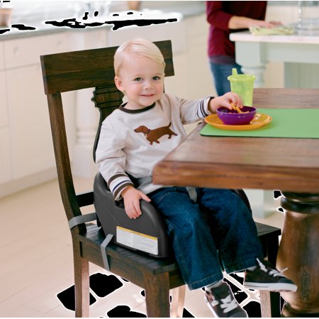 Graco Blossom 6-in-1 Convertible High Chair, Fifer