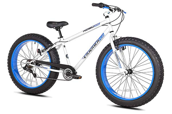 Takara Nobu Fat Bike, 26”